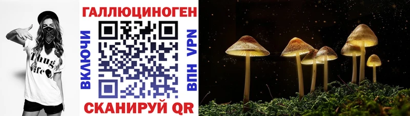 Псилоцибиновые грибы мухоморы  Тотьма 